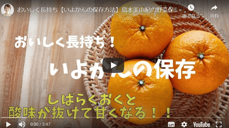 “食品保存のプロ”島本美由紀さんに伊予柑の保存方法をご紹介頂きました！
